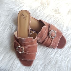 🆕️ a new day shoes